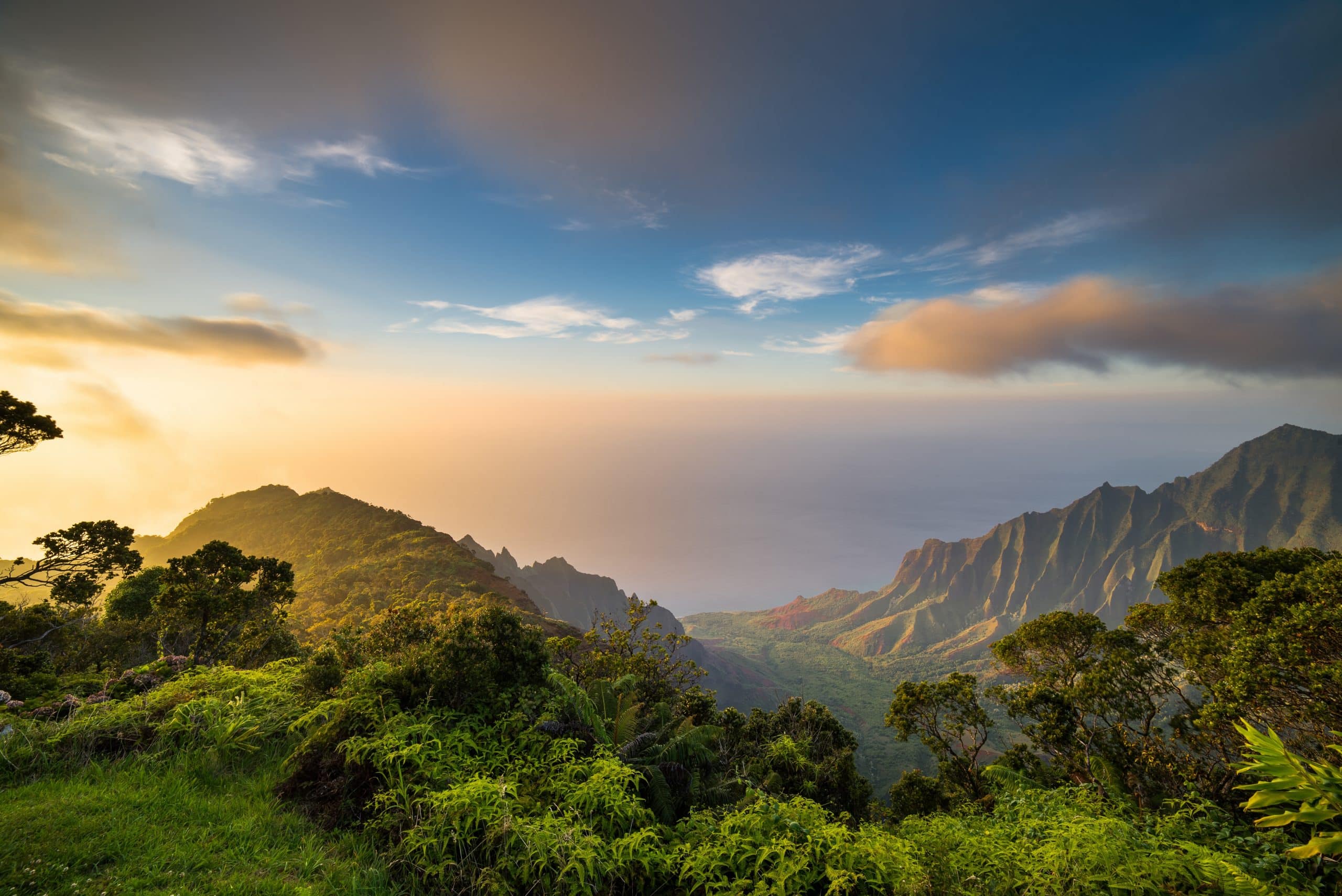 Celebrating Women’s History Month: Three Influential Women in Nature
